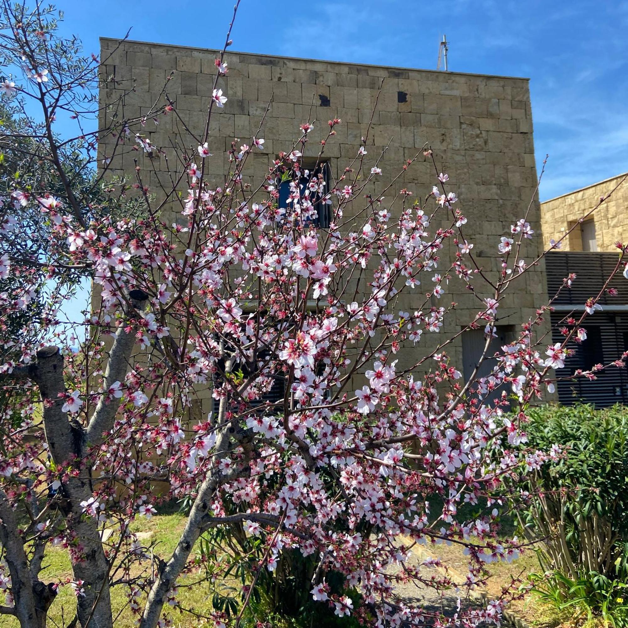 Masainas Casa Barbara Sardinia 빌라 외부 사진